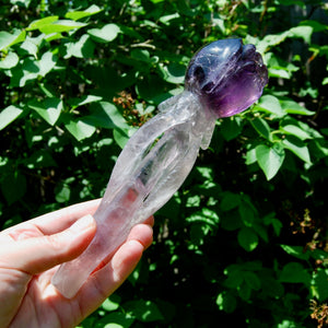 Dragon Tooth Amethyst Hand Carved Crystal Rose, Phantom Amethyst, Brazil