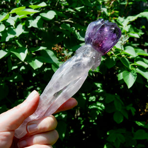 Dragon Tooth Amethyst Hand Carved Crystal Rose, Phantom Amethyst, Brazil