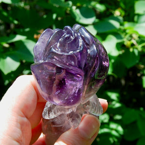 Dragon Tooth Amethyst Hand Carved Crystal Rose, Phantom Amethyst, Brazil