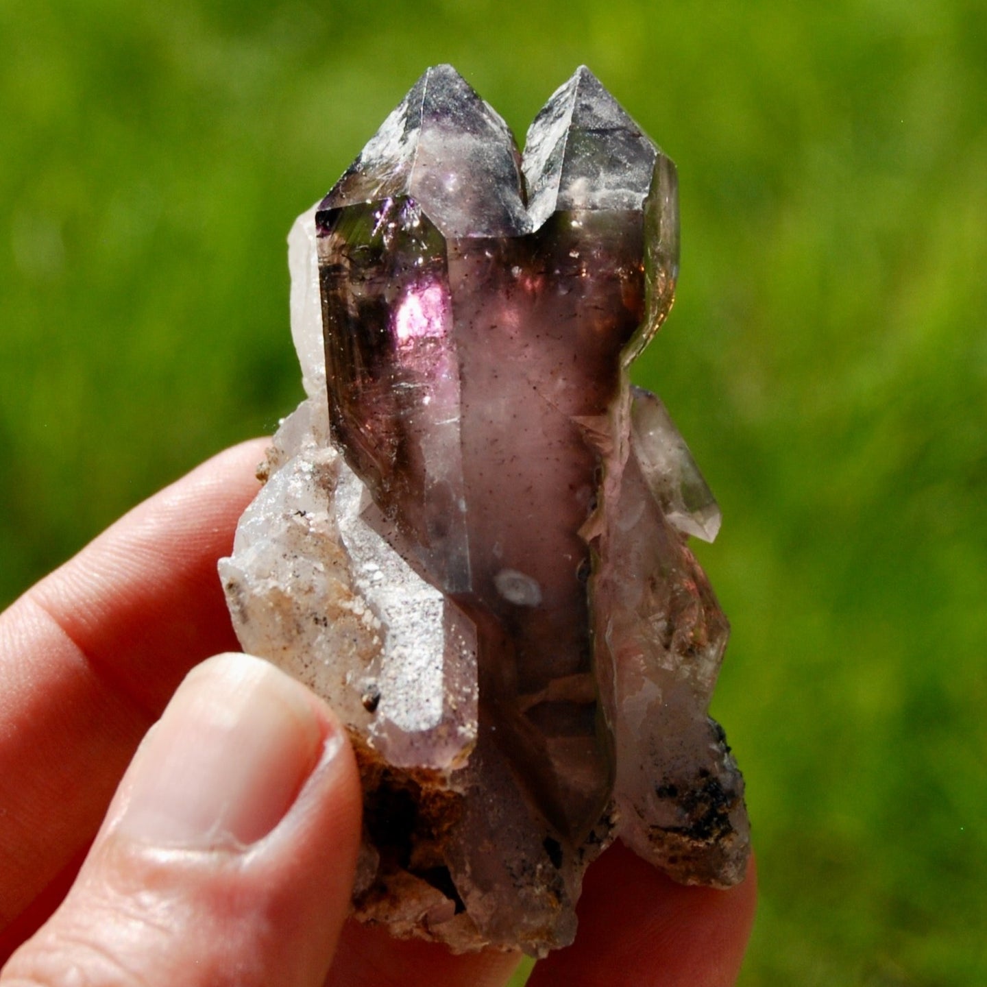 DT ET Record Keeper Smoky Amethyst Quartz Crystal Scepter Cluster