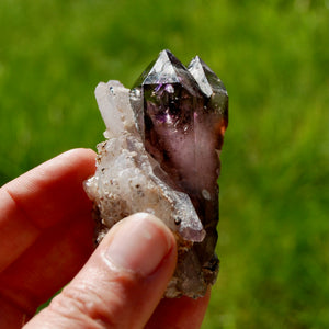 DT ET Record Keeper Smoky Amethyst Quartz Crystal Scepter Cluster