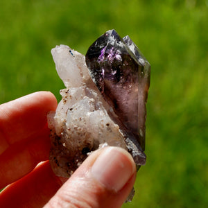 DT ET Record Keeper Smoky Amethyst Quartz Crystal Scepter Cluster