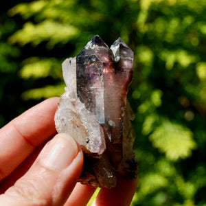 DT ET Record Keeper Smoky Amethyst Quartz Crystal Scepter Cluster