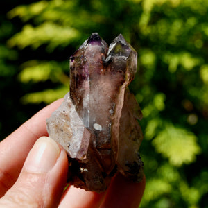 DT ET Record Keeper Smoky Amethyst Quartz Crystal Scepter Cluster