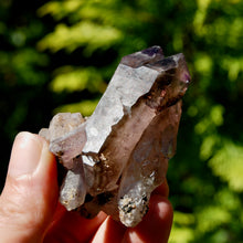 Load image into Gallery viewer, DT ET Record Keeper Smoky Amethyst Quartz Crystal Scepter Cluster
