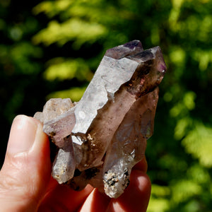 DT ET Record Keeper Smoky Amethyst Quartz Crystal Scepter Cluster