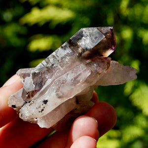 DT ET Record Keeper Smoky Amethyst Quartz Crystal Scepter Cluster