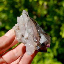 Load image into Gallery viewer, DT ET Record Keeper Smoky Amethyst Quartz Crystal Scepter Cluster
