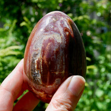 Load image into Gallery viewer, Large Crystallized Colorful Petrified Wood Egg, Madagascar
