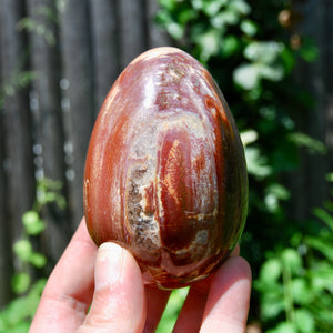 Large Crystallized Colorful Petrified Wood Egg, Madagascar