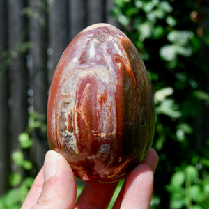 Large Crystallized Colorful Petrified Wood Egg, Madagascar