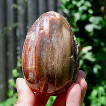 Load image into Gallery viewer, Large Crystallized Colorful Petrified Wood Egg, Madagascar
