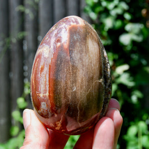 Large Crystallized Colorful Petrified Wood Egg, Madagascar