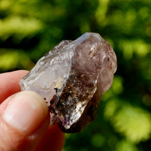 Load image into Gallery viewer, Smoky Fenster Amethyst Quartz Crystal Elestial Scepter, Lepidocrocite Amethyst
