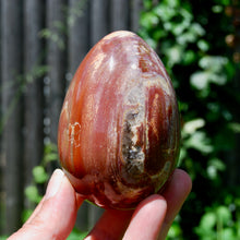 Load image into Gallery viewer, Large Crystallized Colorful Petrified Wood Egg, Madagascar
