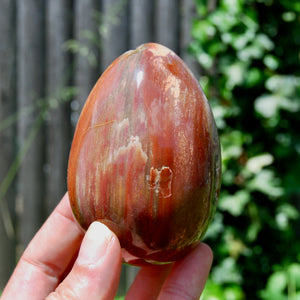 Large Crystallized Colorful Petrified Wood Egg, Madagascar