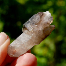 Load image into Gallery viewer, ET Crowned Smoky Amethyst Quartz Crystal Scepter
