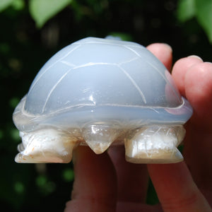 Large Agate Geode Crystal Turtle, Hand Carved