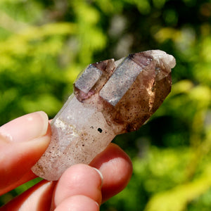 ET Crowned Smoky Amethyst Quartz Crystal Scepter