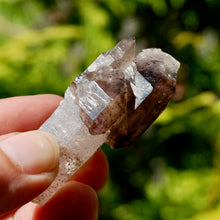 Load image into Gallery viewer, ET Crowned Smoky Amethyst Quartz Crystal Scepter
