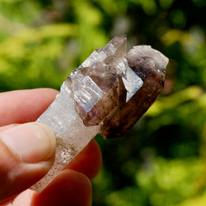 ET Crowned Smoky Amethyst Quartz Crystal Scepter