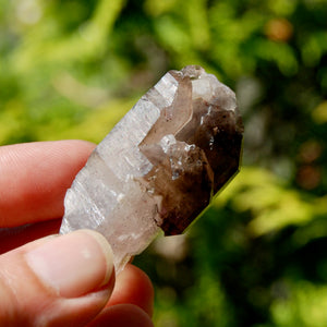 ET Crowned Smoky Amethyst Quartz Crystal Scepter