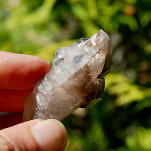 ET Crowned Smoky Amethyst Quartz Crystal Scepter