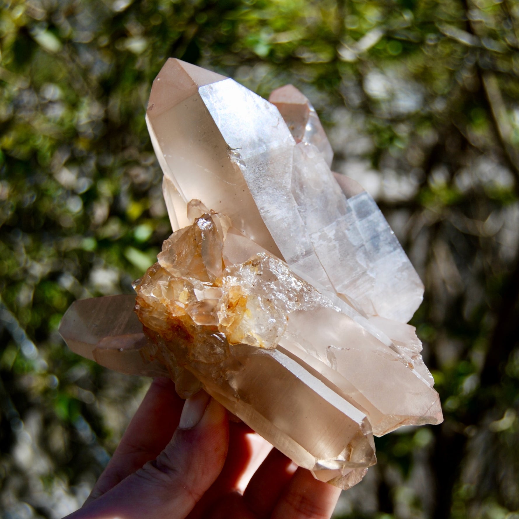 Channeler Pink Shadow Smoky Lemurian Seed Quartz Crystal Starbrary Cluster, Brazil