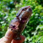 DT ET Elestial Rutile Amethyst Quartz Crystal Scepter, Gemmy Smoky Chiredzi Amethyst, Zimbabwe