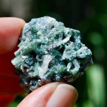 Load image into Gallery viewer, Bicolor Blue Tourmaline Crystal Cluster, Indicolite Tourmaline Crystal on Matrix, Brazil
