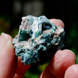 Bicolor Blue Tourmaline Crystal Cluster, Indicolite Tourmaline Crystal on Matrix, Brazil