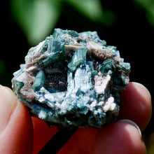 Load image into Gallery viewer, Bicolor Blue Tourmaline Crystal Cluster, Indicolite Tourmaline Crystal on Matrix, Brazil
