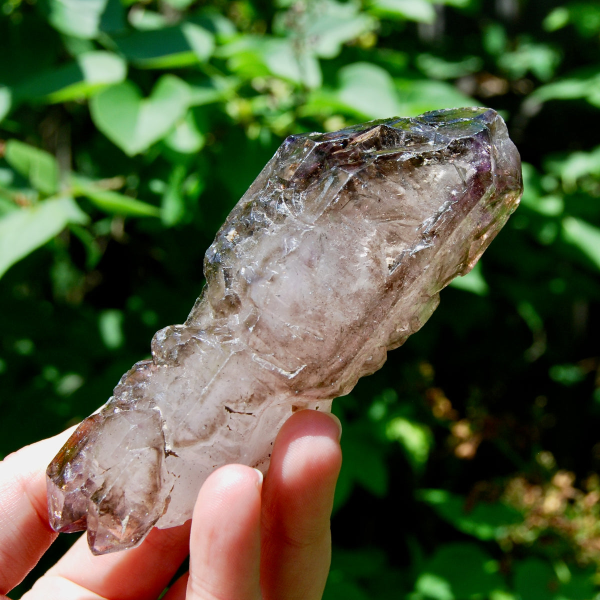 Elestial Amethyst Quartz Crystal Scepter Cathedral