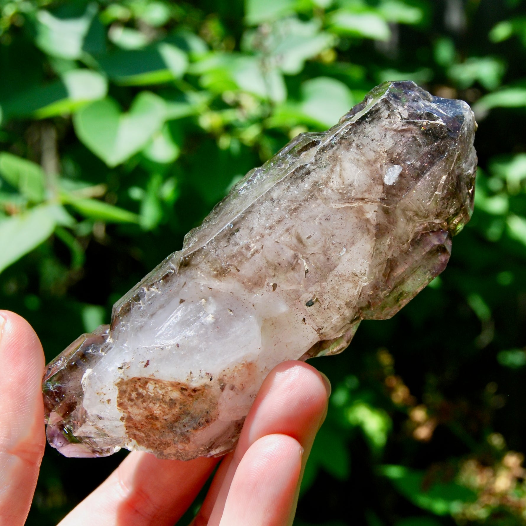 Elestial Amethyst Quartz Crystal Scepter Cathedral