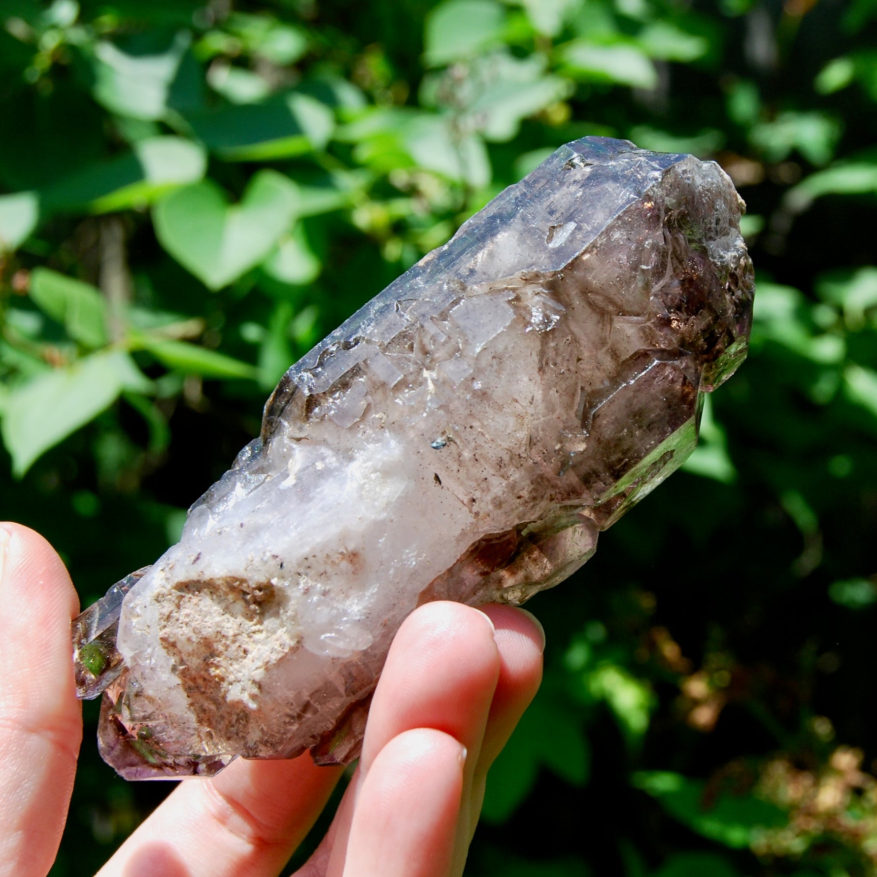 Elestial Amethyst Quartz Crystal Scepter Cathedral