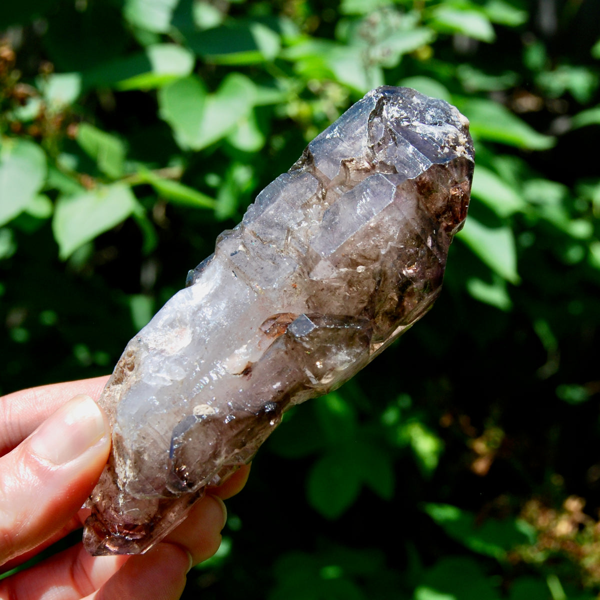 Elestial Amethyst Quartz Crystal Scepter Cathedral