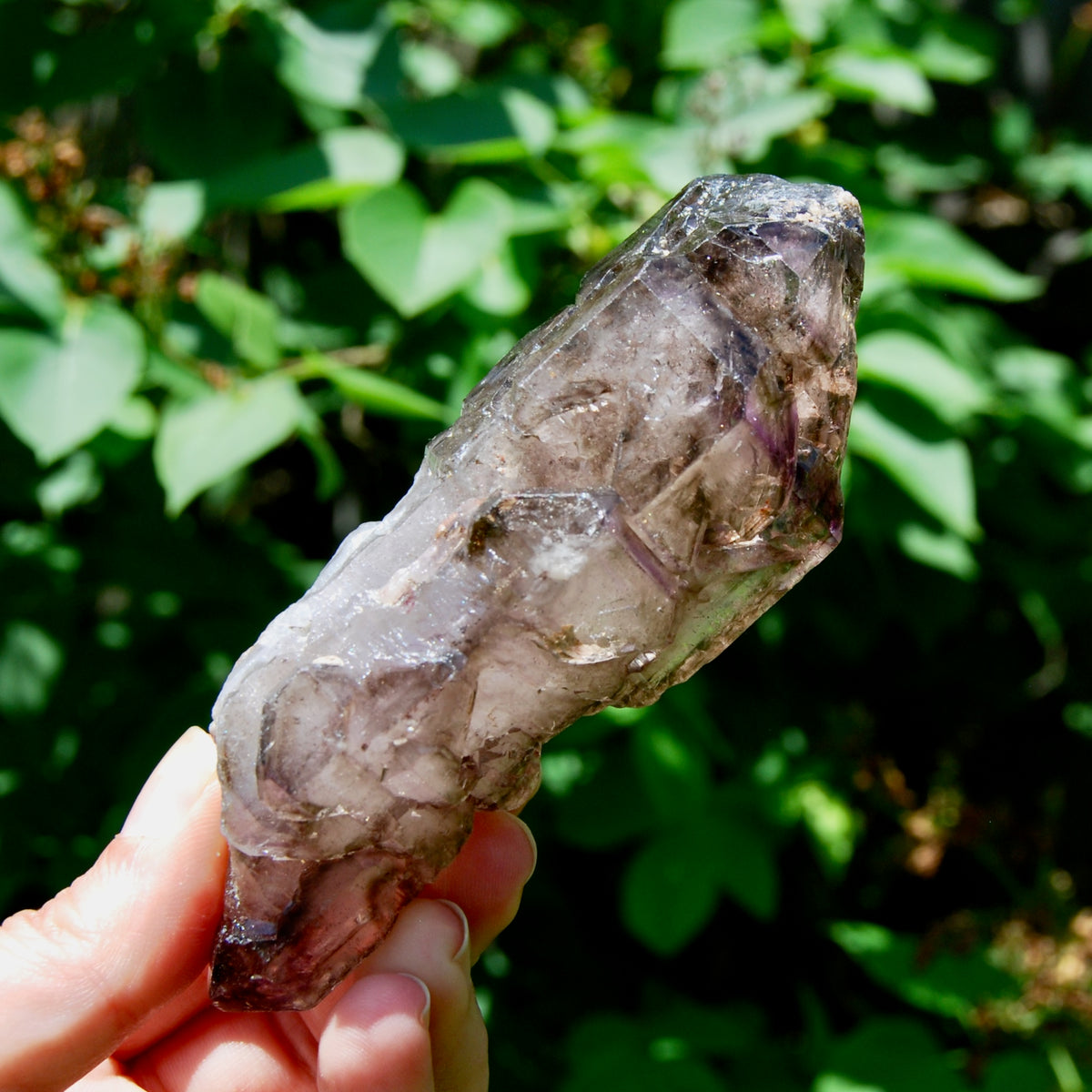 Elestial Amethyst Quartz Crystal Scepter Cathedral