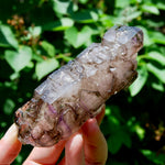 Elestial Amethyst Quartz Crystal Scepter Cathedral