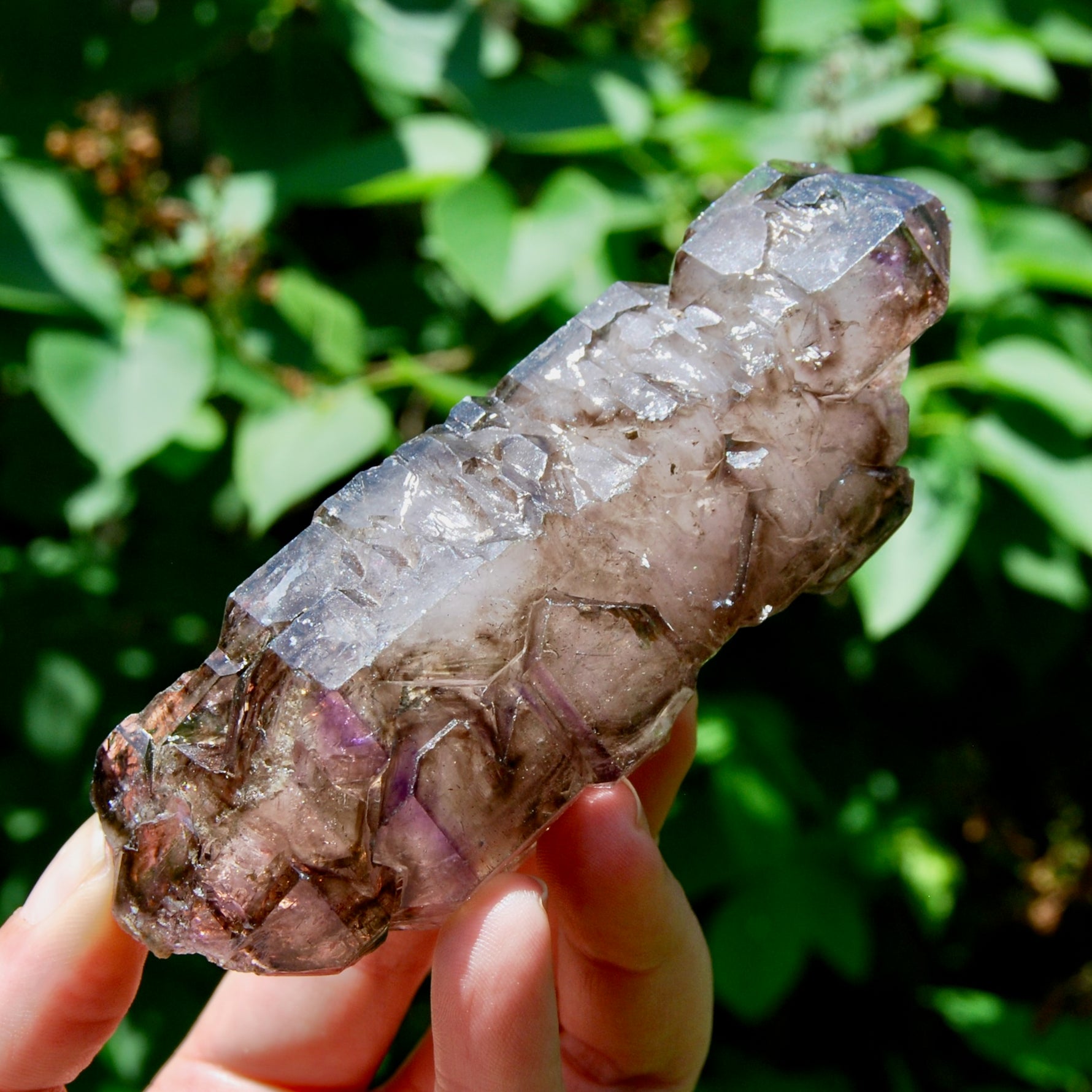 Elestial Amethyst Quartz Crystal Scepter Cathedral