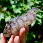 Elestial Amethyst Quartz Crystal Scepter Cathedral