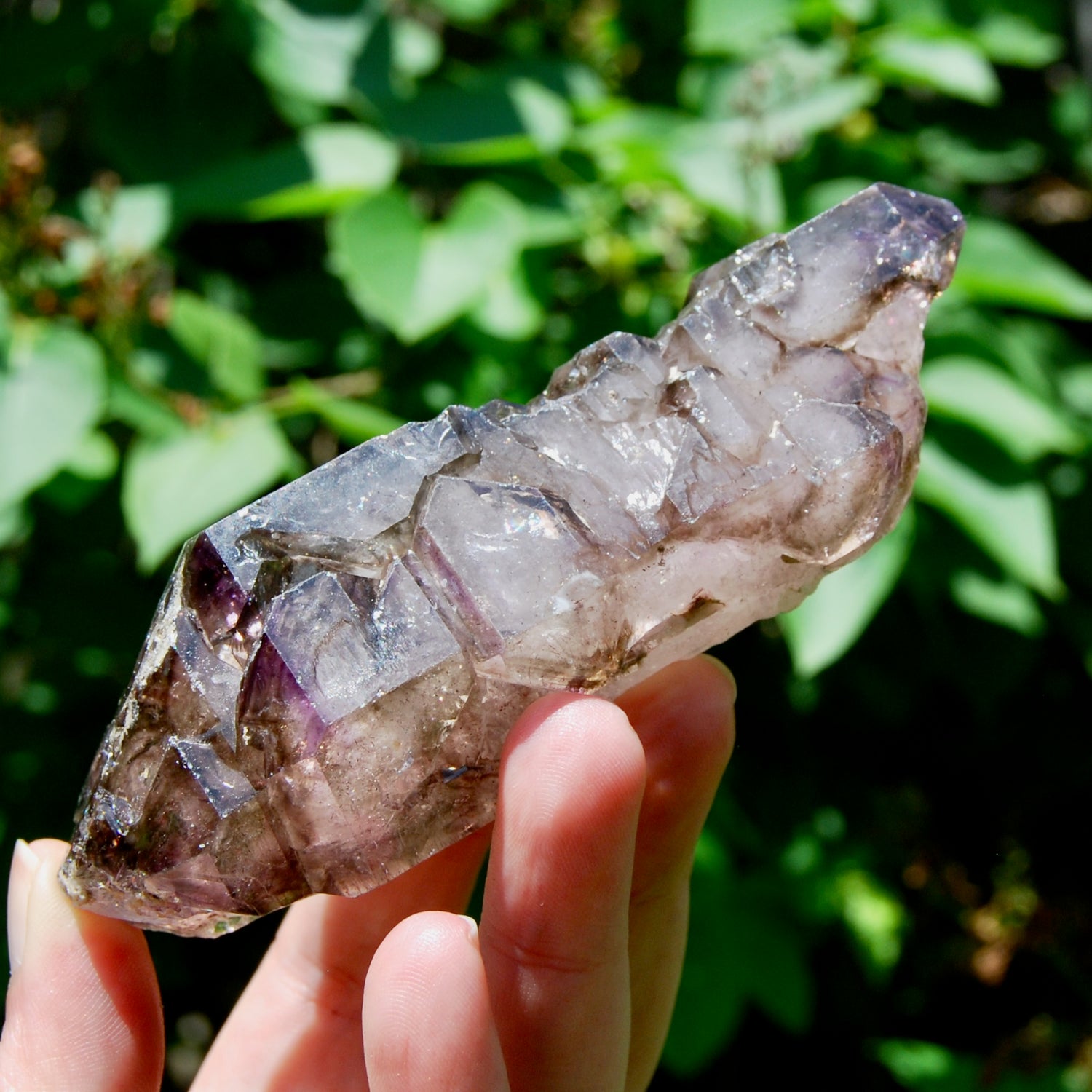 Elestial Amethyst Quartz Crystal Scepter Cathedral