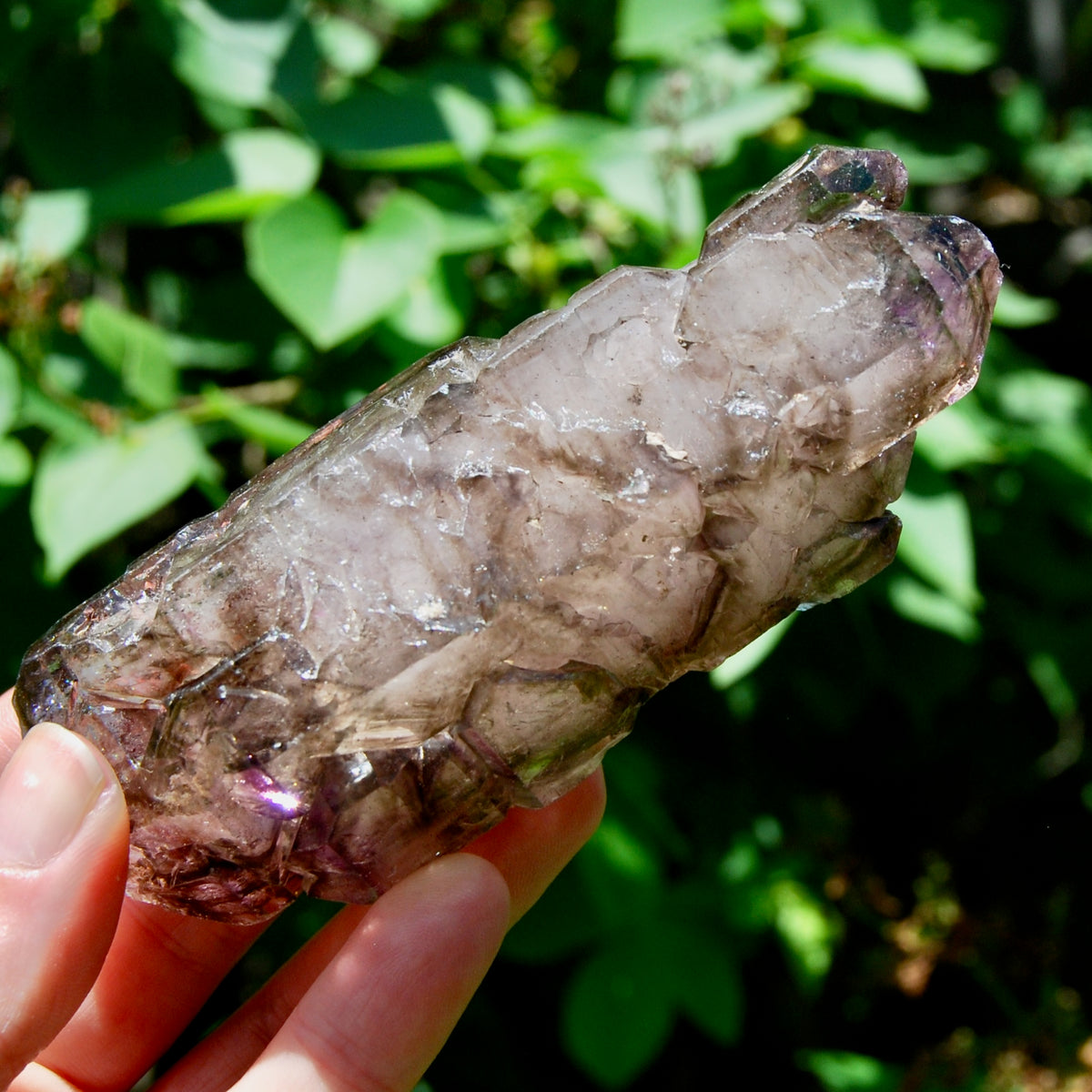 Elestial Amethyst Quartz Crystal Scepter Cathedral