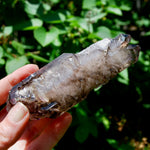 Elestial Amethyst Quartz Crystal Scepter Cathedral