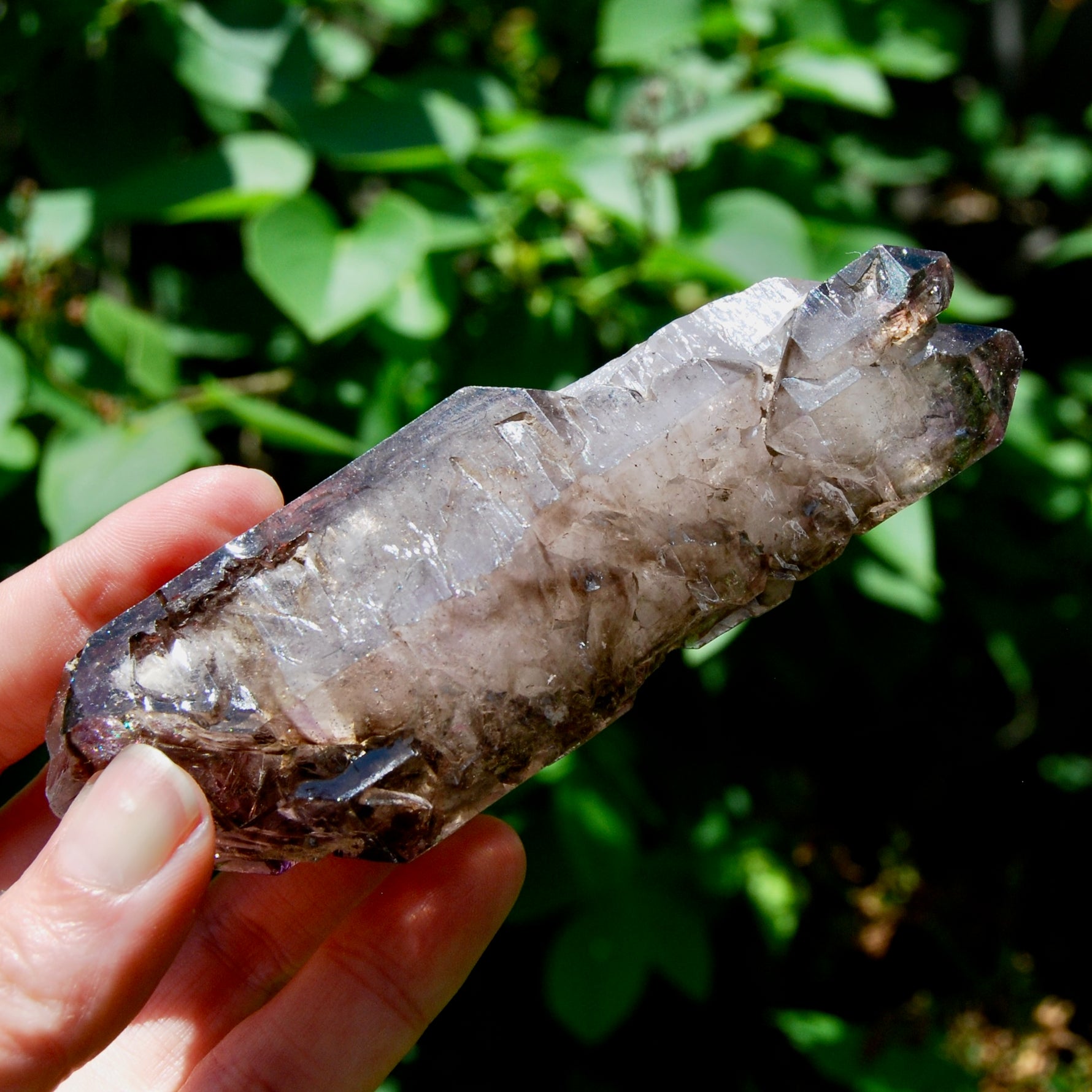 Elestial Amethyst Quartz Crystal Scepter Cathedral