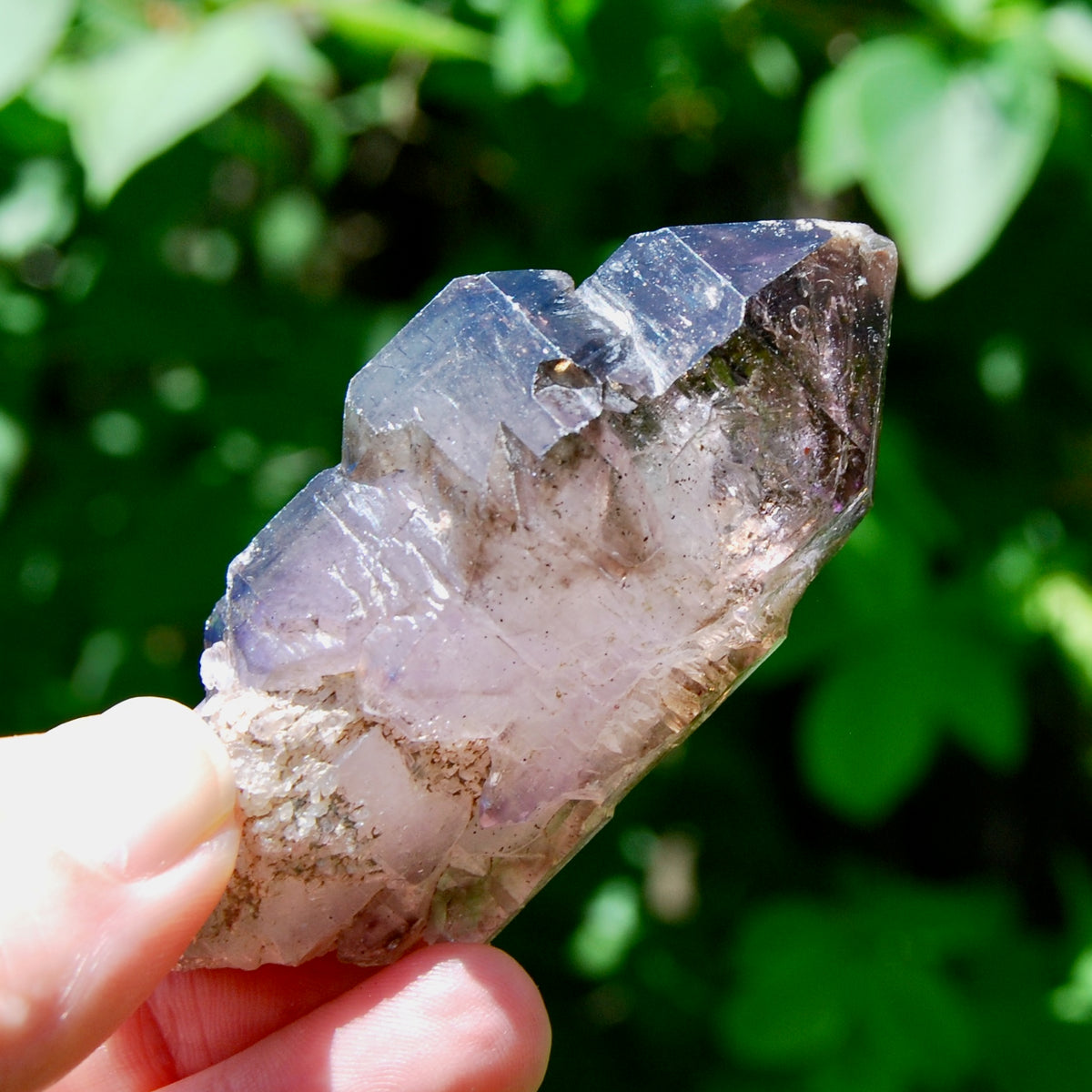 DT ET Elestial Enhydro Amethyst Quartz Crystal ScepterDT ET Elestial Enhydro Amethyst Quartz Crystal Scepter