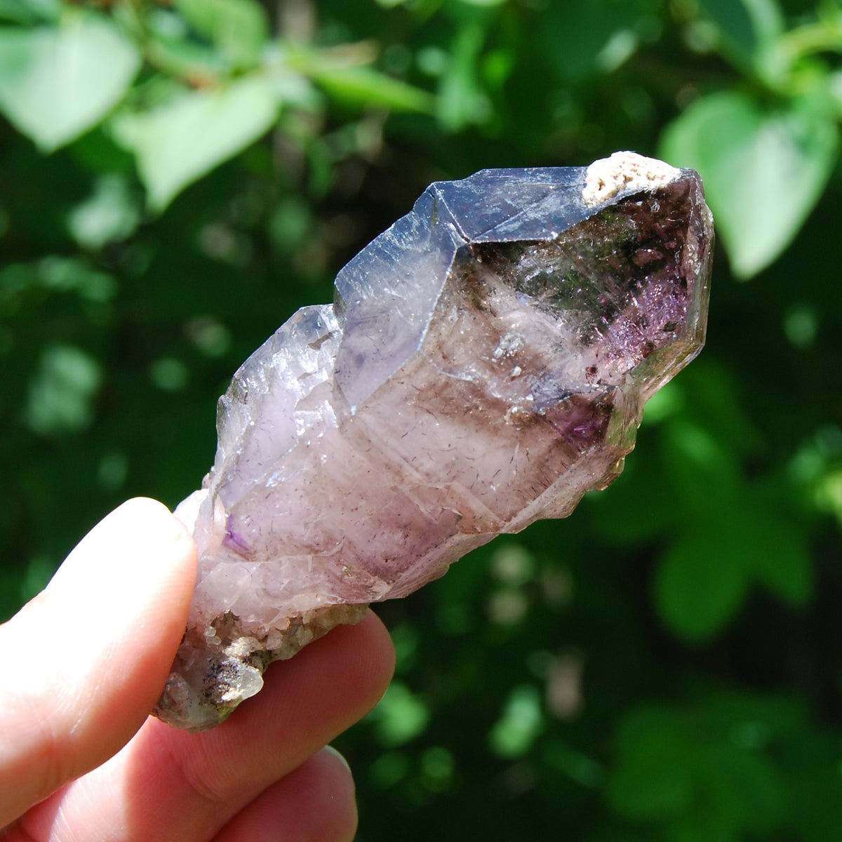 DT ET Elestial Enhydro Amethyst Quartz Crystal Scepter