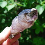DT ET Elestial Enhydro Amethyst Quartz Crystal Scepter