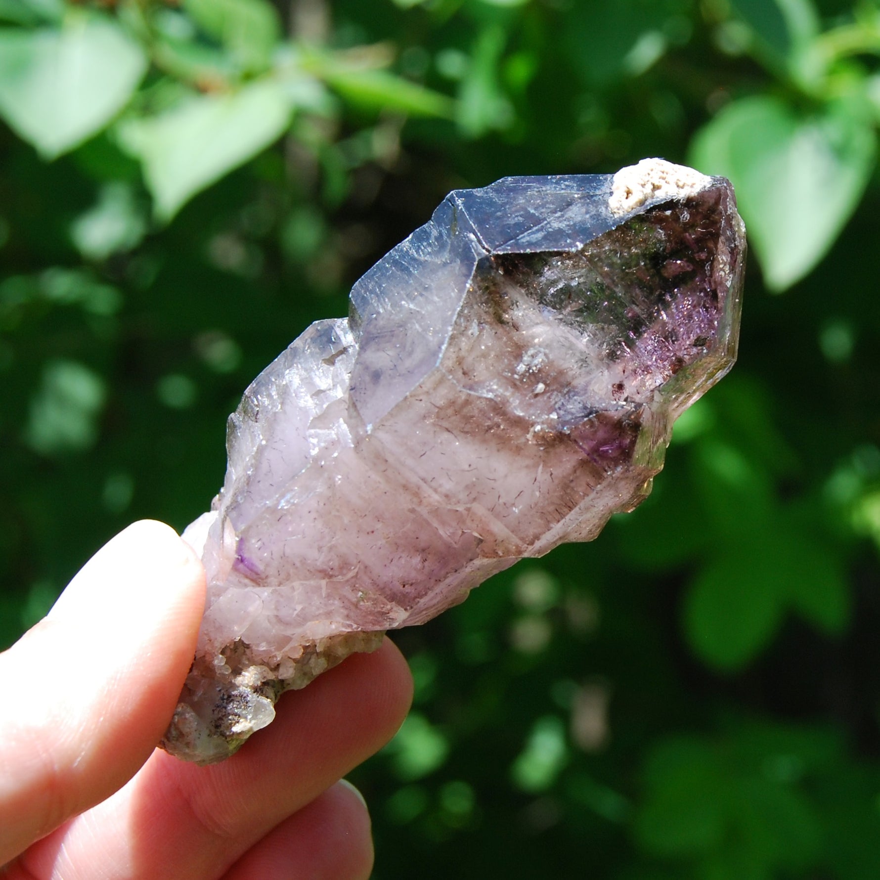 DT ET Elestial Enhydro Amethyst Quartz Crystal Scepter