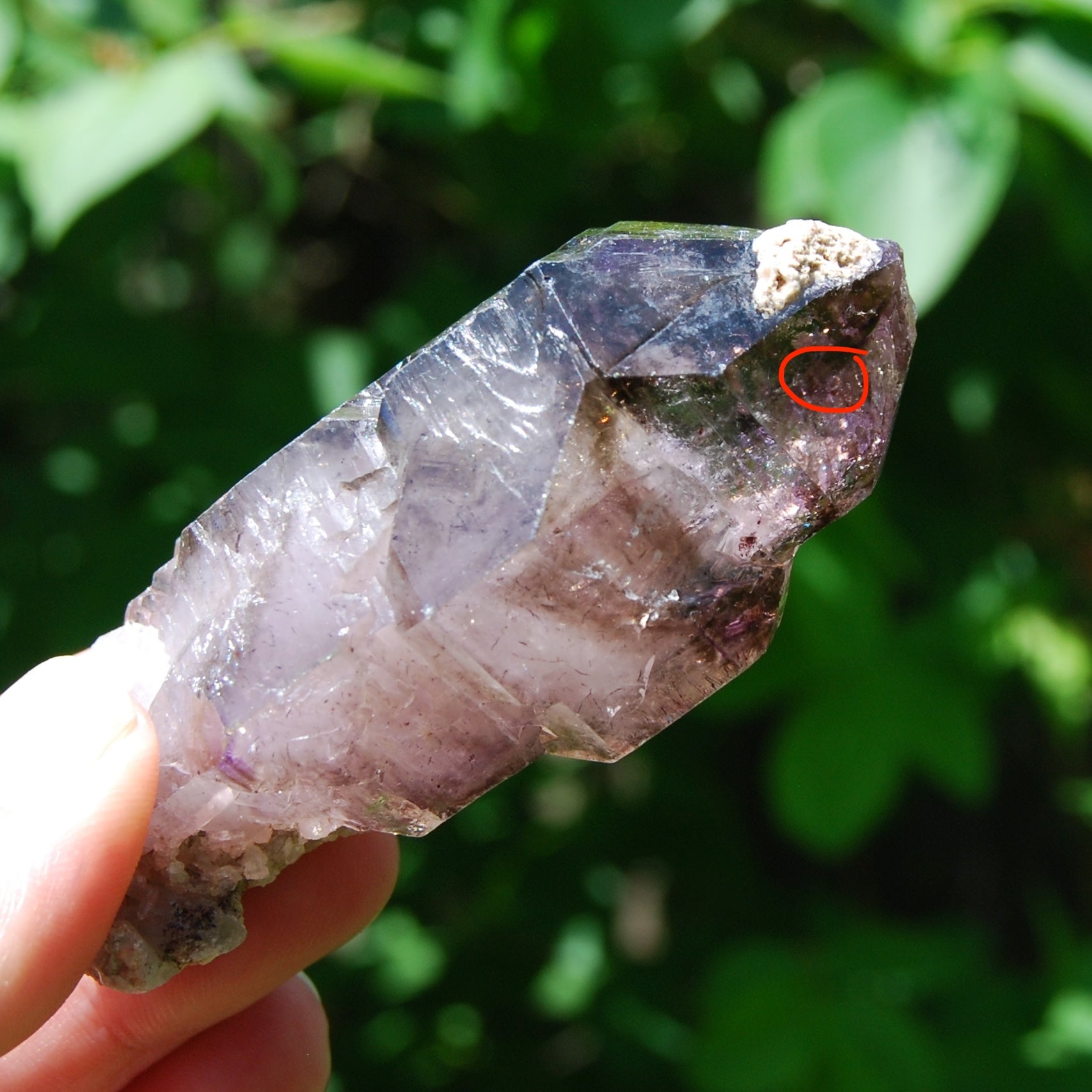DT ET Elestial Enhydro Amethyst Quartz Crystal Scepter
