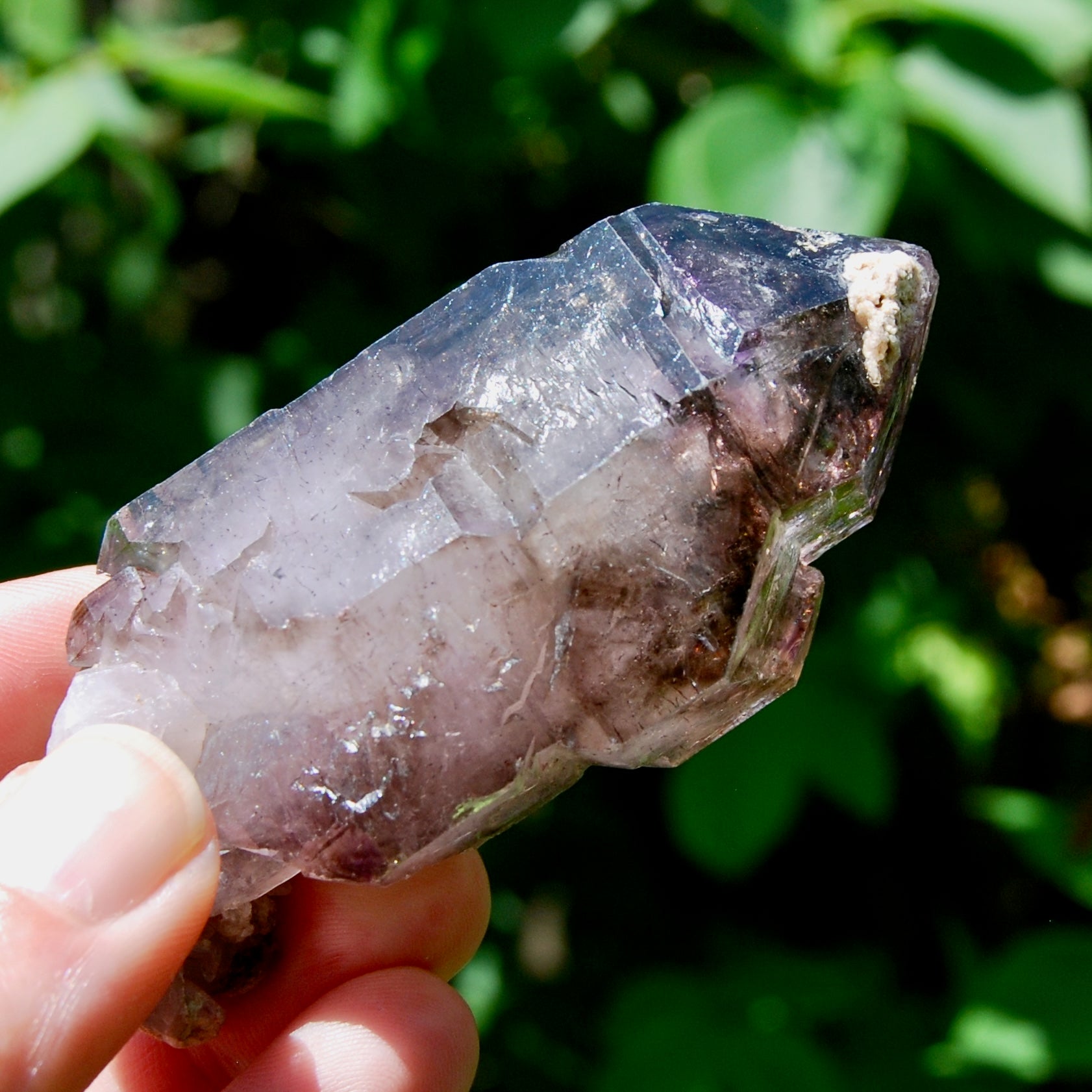 DT ET Elestial Enhydro Amethyst Quartz Crystal Scepter